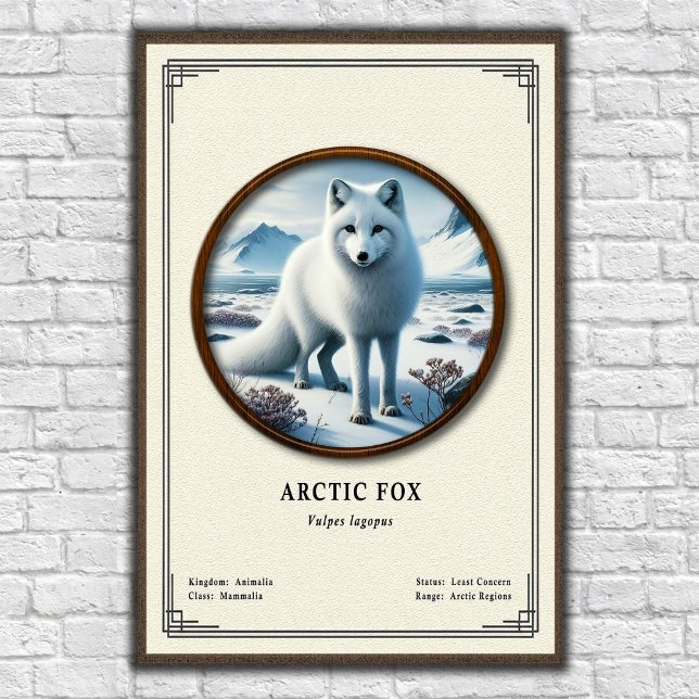 Arctic Fox Zoology Series Poster (Skapare uppladdad)