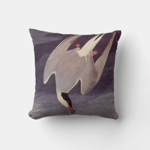 Arctic Tern av John James Audubon, Vintage Fåglar Kudde