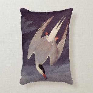 Arctic Tern av John James Audubon, Vintage Fåglar Prydnadskudde