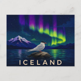 Arctic Tern under Aurora | Ikoniska Island Vykort
