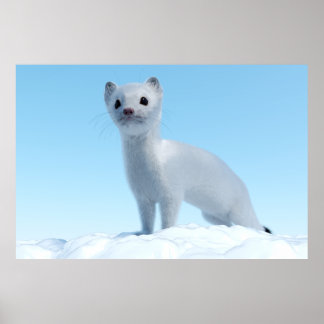 Arctic Weasel Charm Poster
