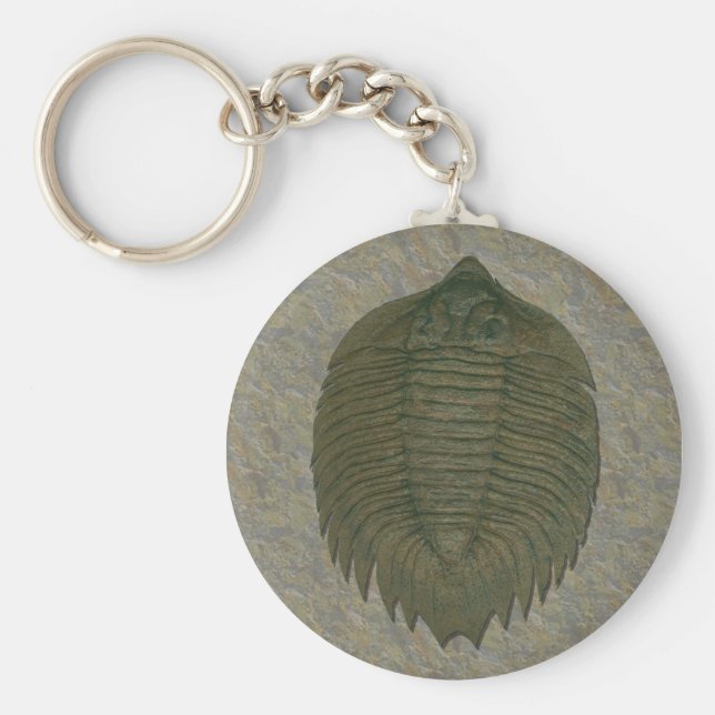 Arctinrus Boltoni Fossil Trilobite Rund Silverfärgad Nyckelring (Framsidan)