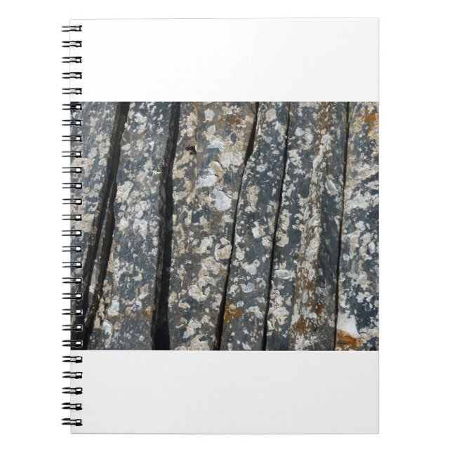 ardosering anteckningsbok (Framsidan)