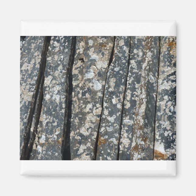 ardosering magnet (Framsidan)