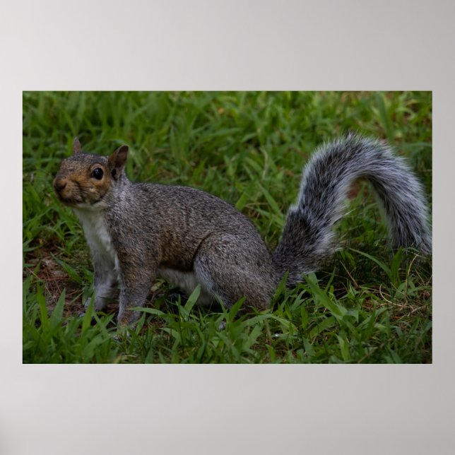 Are You Ready Poster (Framsidan)