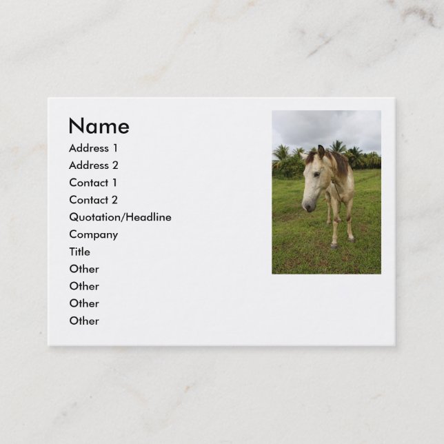 Ärende, Visitkort (Framsida)