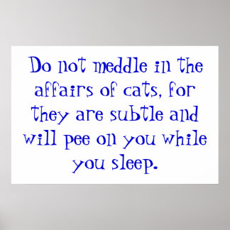 Ärendena i Katter Poster