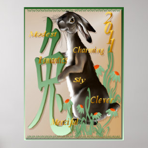 Året av kaninaffischen poster