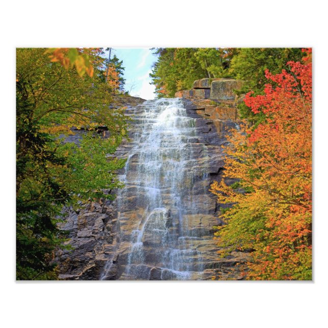 Arethusa Falls tryck (Framsidan)