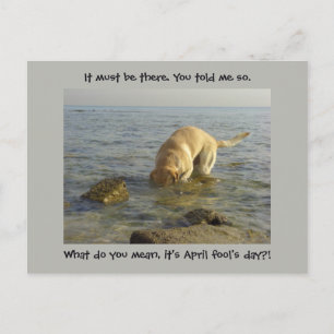 Årets dag - Goofy Labrador Vykort