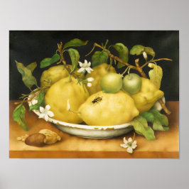 ÅRETS FRUKTER CITRONER OCH VITA BLOMMOR POSTER