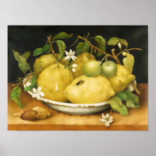ÅRETS FRUKTER CITRONER OCH VITA BLOMMOR POSTER