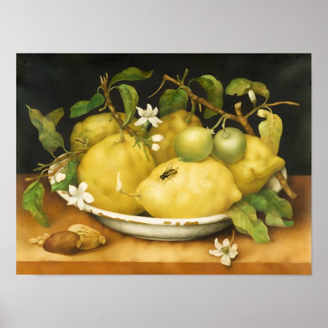 ÅRETS FRUKTER CITRONER OCH VITA BLOMMOR POSTER (Framsidan)