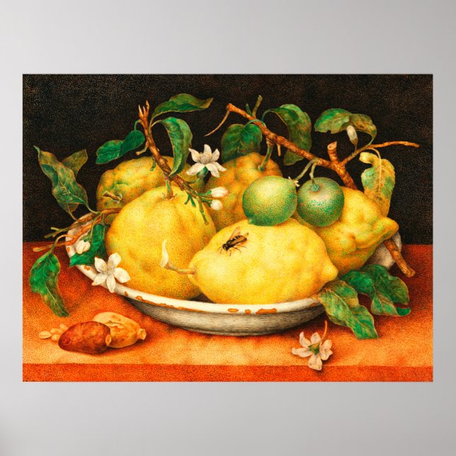 ÅRETS FRUKTER CITRONER OCH VITA BLOMMOR POSTER (Framsidan)