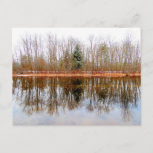 Årets träd - Ashuelot River Park Vykort