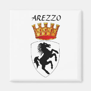 Arezzo jackar om arm magnet