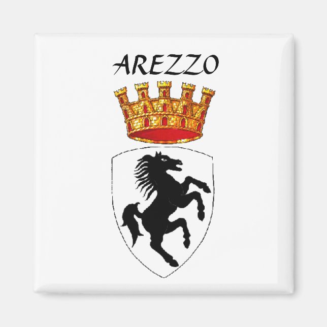Arezzo jackar om arm magnet (Framsidan)