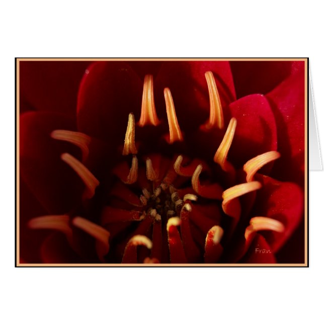 ärftlig kärna hälsningskort (Framsidan Horizontal)