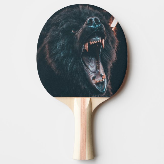 Arg Bear Teeth Black Bear Growl Pingisracket (Framsidan)
