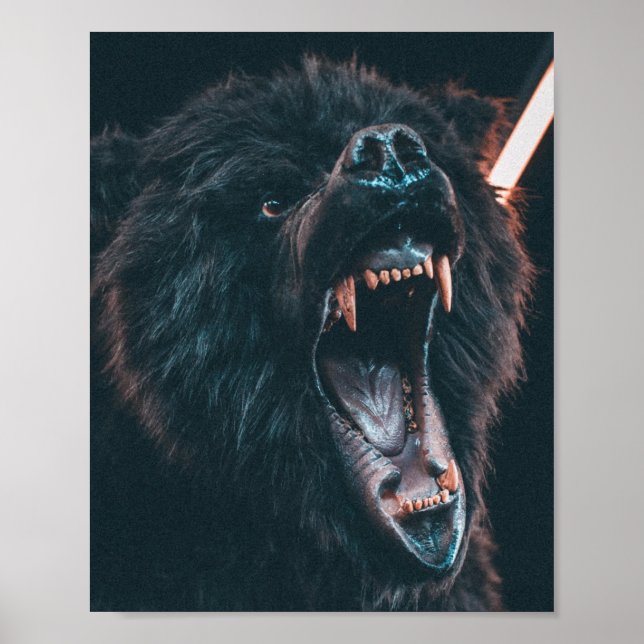 Arg Bear Teeth Black Bear Growl Poster (Framsidan)
