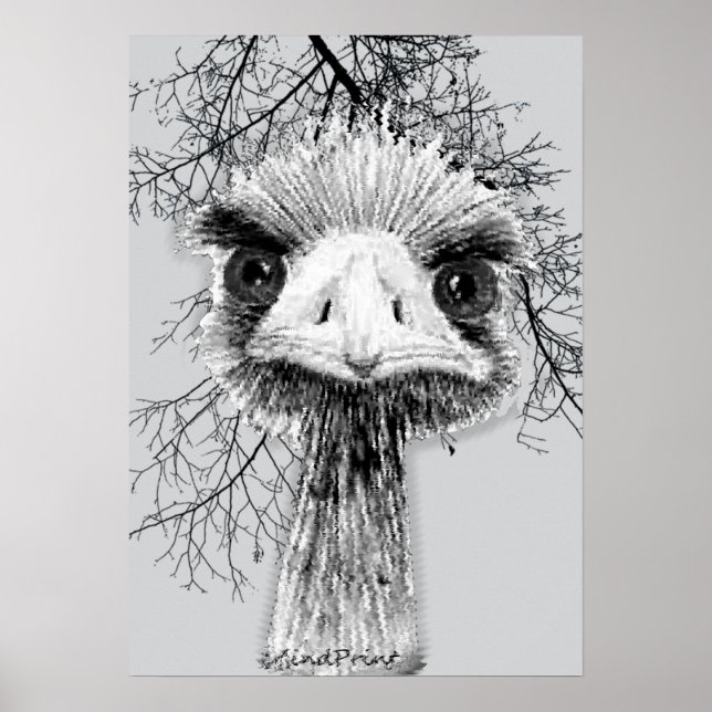 Arg Bird Poster (Framsidan)