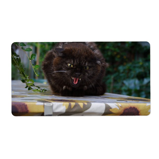 Arg Black Cat Fraktsedel (Framsidan)