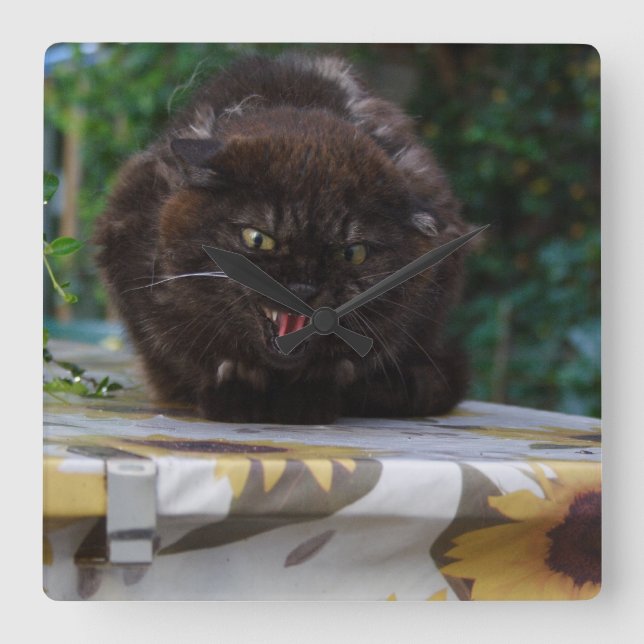 Arg Black Cat Fyrkantig Klocka (Framsida)