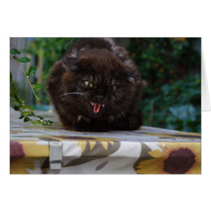 Arg Black Cat Hälsningskort