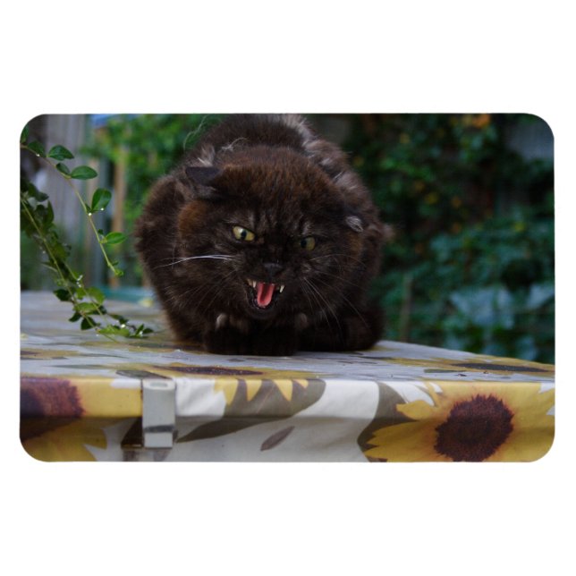 Arg Black Cat Magnet (Horisontell)