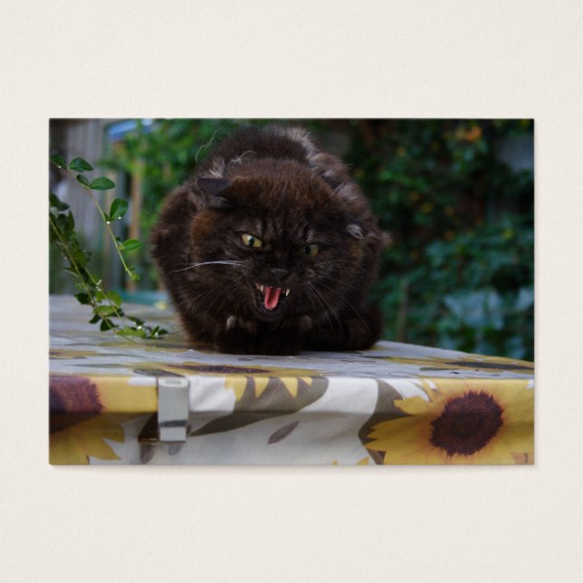Arg Black Cat Visitkort (Framsidan)