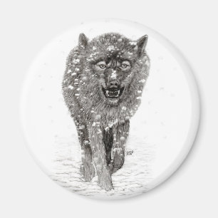 Arg Black Varg i Snö, vild Winter Magnet