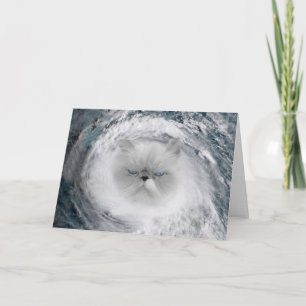 Arg Cat 5 Orkan Kort