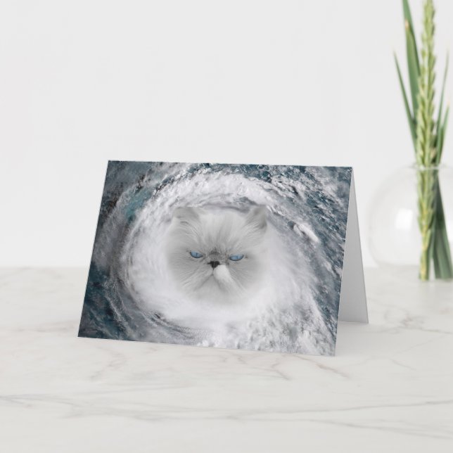 Arg Cat 5 Orkan Kort (Framsida)