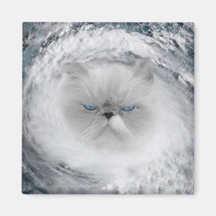 Arg Cat 5 Orkan Magnet