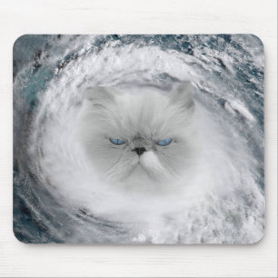 Arg Cat 5 Orkan Musmatta