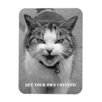 Arg Cat "Hämta din egen Covfefe", lustig magnet!