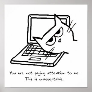 Arg Cat kräver uppmärksamhet - luddig katt Poster