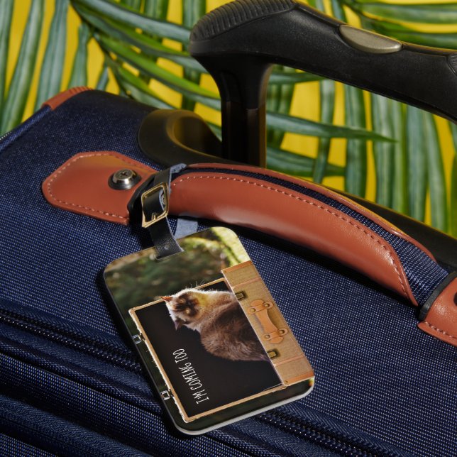 Arg Cat Personlig Luggage TAG Funny Anpassningsbar Bagagebricka (Framsida Insitu 1)