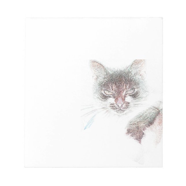 Arg Cute Cate Ansikte Sketch Anteckningsblock (Framsida)