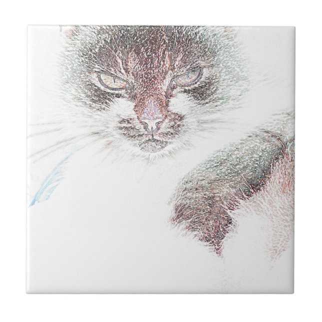 Arg Cute Cate Ansikte Sketch Kakelplatta (Framsidan)