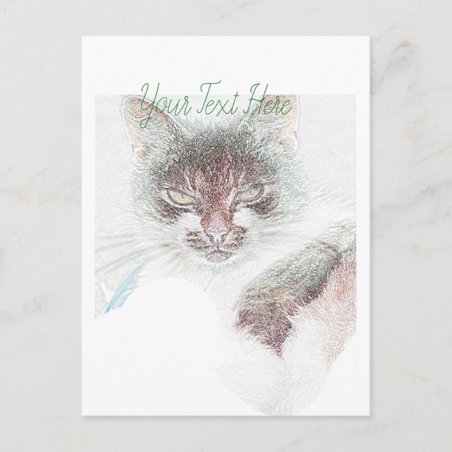 Arg Cute Cate Ansikte Sketch Vykort (Framsida)