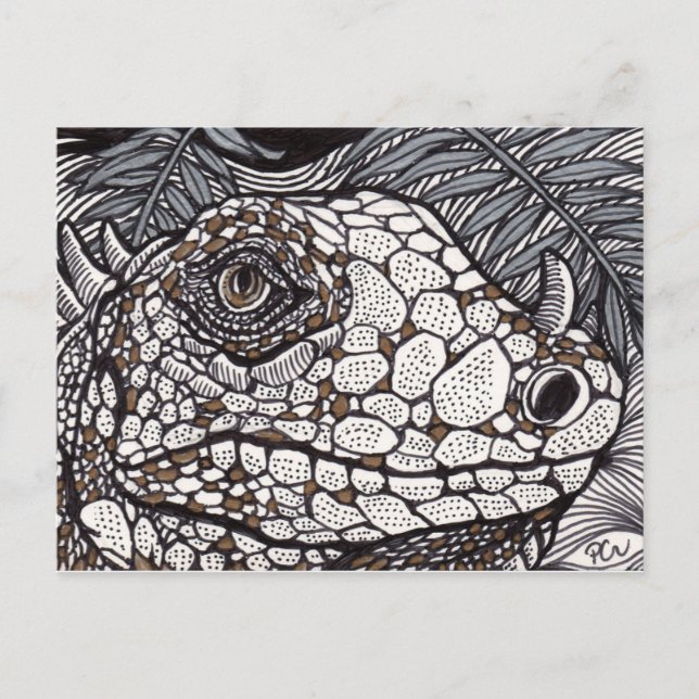 Arg Iguana Vykort (Framsida)