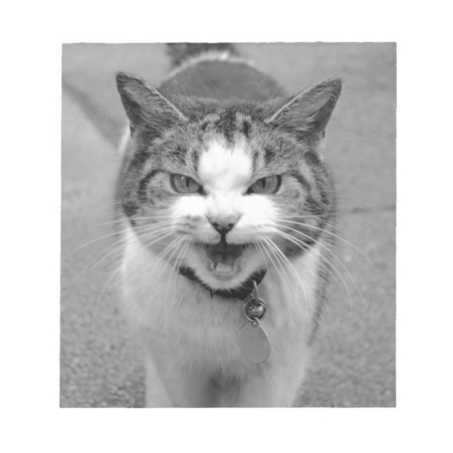 Arg Katt Anteckningsblock (Framsida)