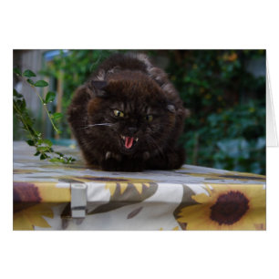 Arg Katt Hälsningskort