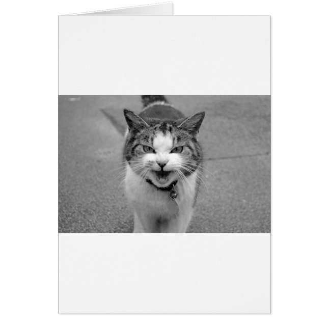 Arg Katt Hälsningskort (Framsidan)