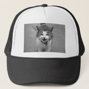Arg Katt Keps