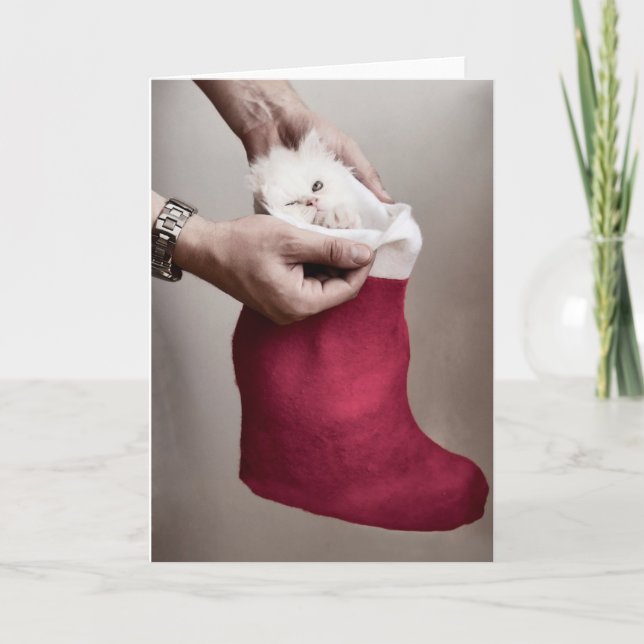 Arg kattunge helgkort (Framsida)