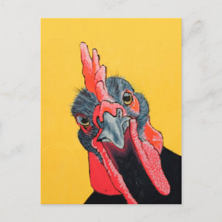 Arg kyckling i gult vykort