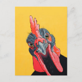 Arg kyckling i gult vykort