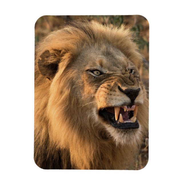 Arg LEJON kylskåp magnet DIN fotomall (Vertikal)